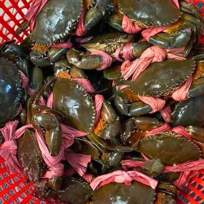 Cua Thịt Cà Mau - Ảnh 1