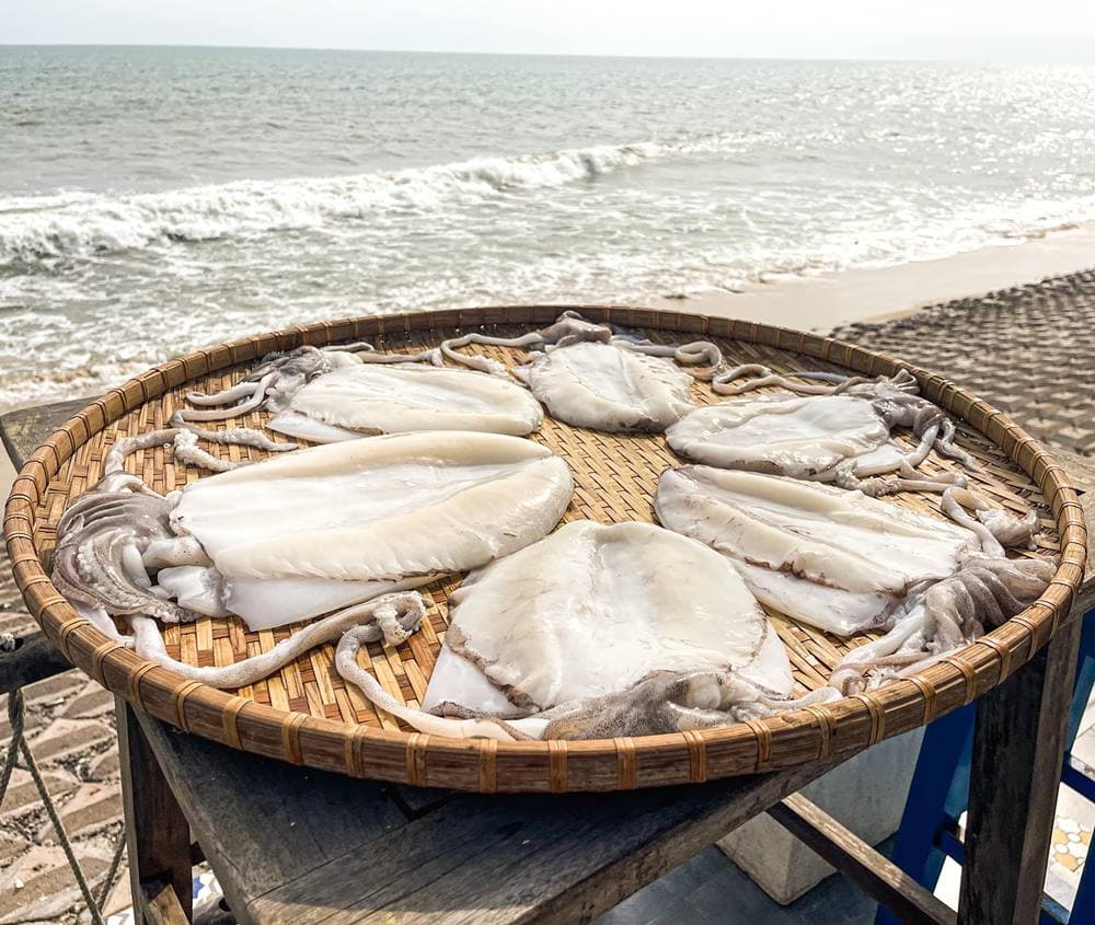 Mực Một Nắng Phan Thiết - Ảnh 1