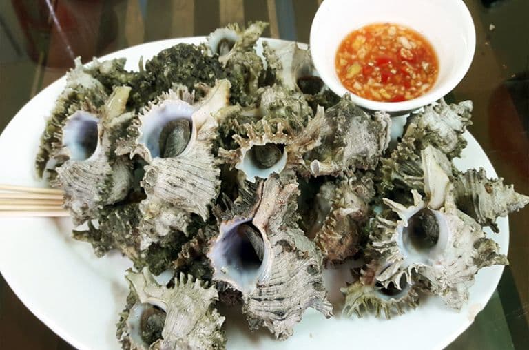 Ốc Gai Nấu Gì Ngon? Mách Bạn 07 Cách Chế Biến Ốc Gai Ăn Là Ghiền