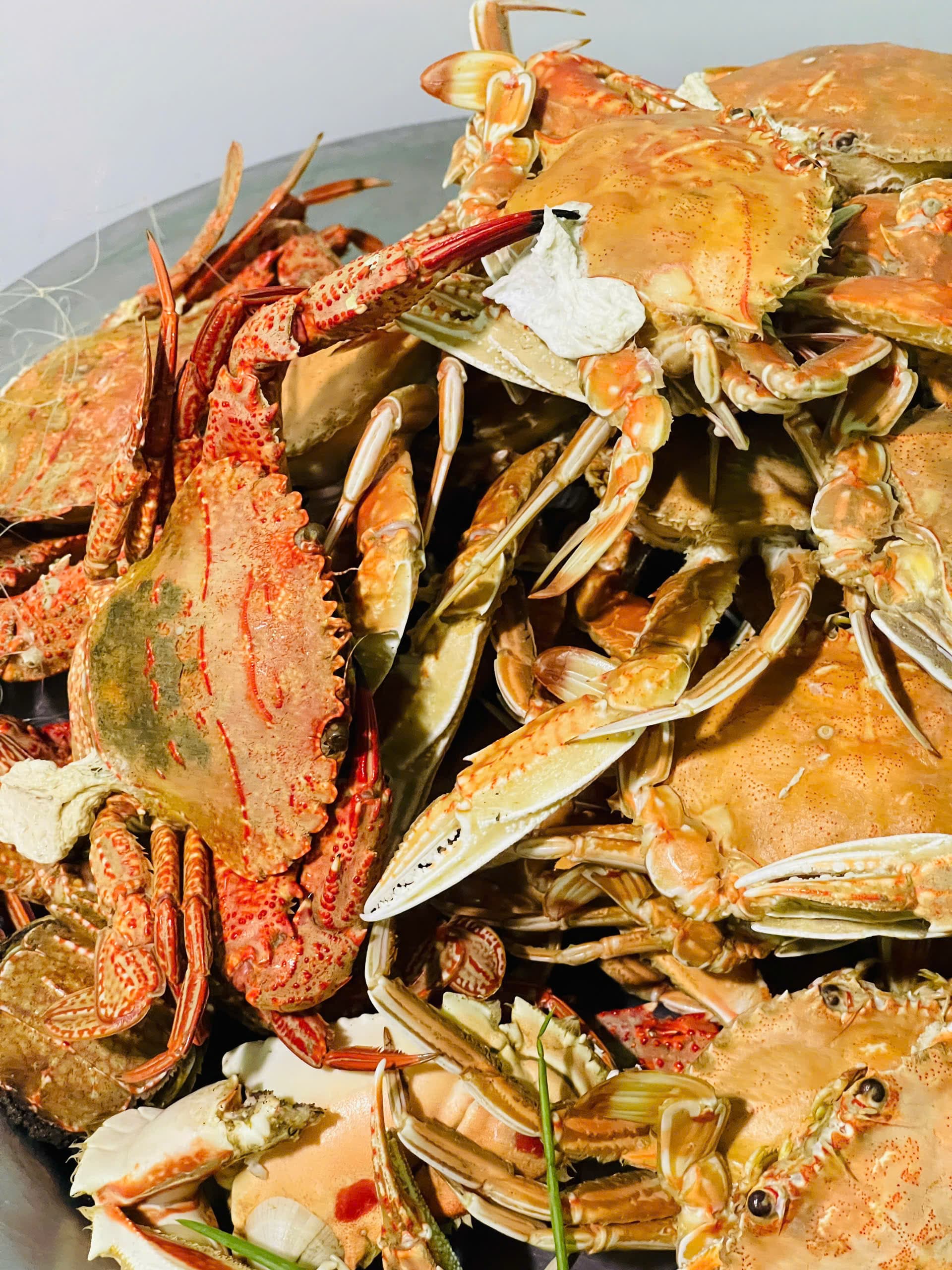 Ghẹ Nu Bình Thuận - Ảnh 1