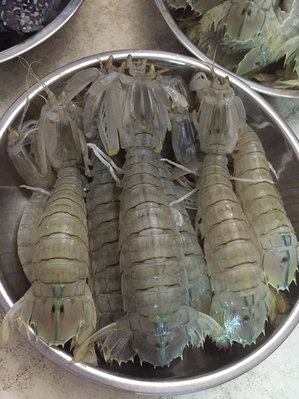 Tôm Tít Bình Thuận